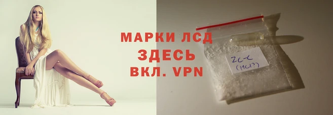 mdma Гусев