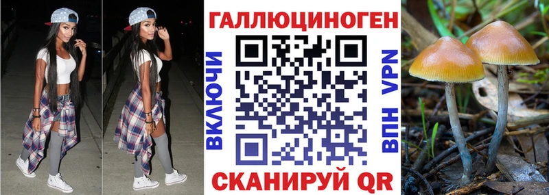 Галлюциногенные грибы прущие грибы  даркнет сайт  Красный Холм 
