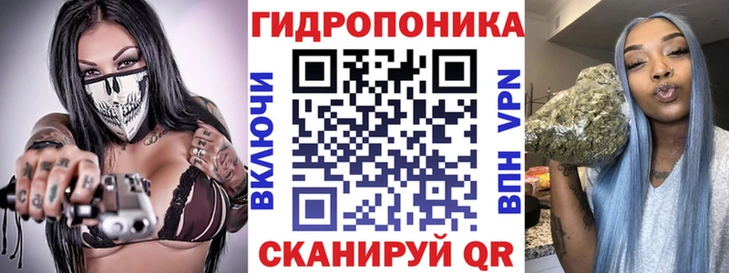 Марихуана OG Kush сайты даркнета формула Красный Холм купить наркотик